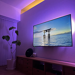 バーチカルブラインド/ウンベラータ/Philips Hueアンバサダー/スマート家電/Philips Hue...などのインテリア実例 - 2022-11-22 23:42:25