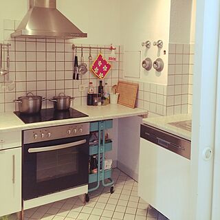 キッチン/IKEAワゴン/夫が取り付けたキッチン/食洗機/ドイツ生活のインテリア実例 - 2017-06-22 00:11:45