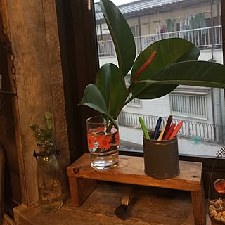 植物/インスタ→ANZ0055です(^^)/RCの出会いに感謝♡/いつも、いいね！をありがとうございます♡/saboten 倶楽部...などのインテリア実例 - 2015-04-19 18:18:00