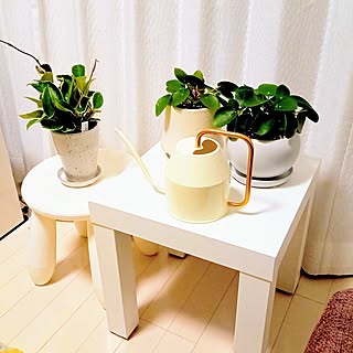 部屋全体/花/中古を買ってリノベーション/白い床/ダイケンの床...などのインテリア実例 - 2023-04-18 21:24:00