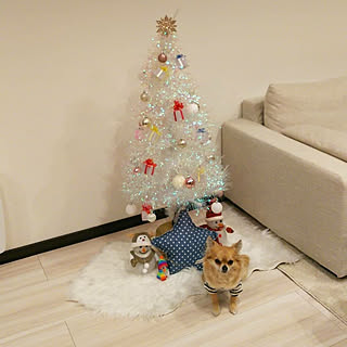 部屋全体/クリスマス/いぬばかりですみません。/いぬのいる暮らし/赤ちゃんのいる暮らし...などのインテリア実例 - 2018-12-23 17:13:54