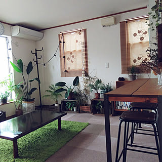 部屋全体/アンティーク木箱/Instagramやってます/観葉植物/ちょっとだけドライフラワー...などのインテリア実例 - 2019-05-21 17:32:07