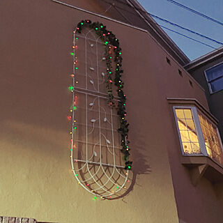 造花/クリスマス/壁飾りDIY/壁飾り/LED電飾...などのインテリア実例 - 2022-12-11 15:18:47