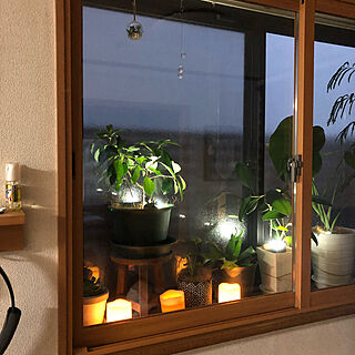 出窓スペース/防音対策/断熱対策/観葉植物のある暮らし/内窓...などのインテリア実例 - 2022-07-06 19:43:23