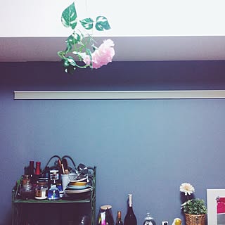 壁/天井/DIY/アンティーク/IKEA/観葉植物...などのインテリア実例 - 2015-07-31 23:19:06