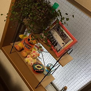 棚/観葉植物/植物/一人暮らし/雑貨のインテリア実例 - 2014-02-15 07:48:10