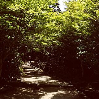 新緑の季節/宮島観光のインテリア実例 - 2015-05-17 17:22:06
