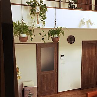 壁/天井/植物のある暮らし/植物が好き/吹き抜け階段/グリーンのある暮らし...などのインテリア実例 - 2017-01-23 12:08:02