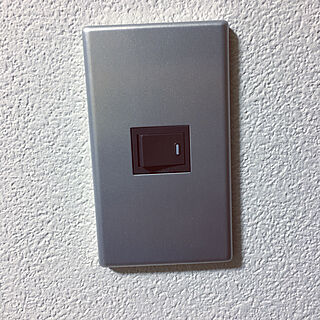 DIY/照明スイッチ/壁/天井のインテリア実例 - 2021-08-07 23:07:39