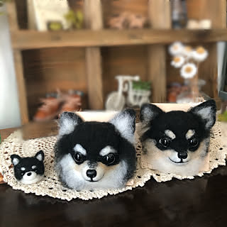 チワワ 羊毛 クリップ ハンドメイド （チワワ - 安全ピン / マグネット  