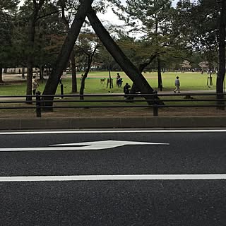 インテリアじゃなくてごめんなさい/奈良徘徊中/散歩道/RCの皆さまに感謝♡のインテリア実例 - 2015-04-11 13:27:09