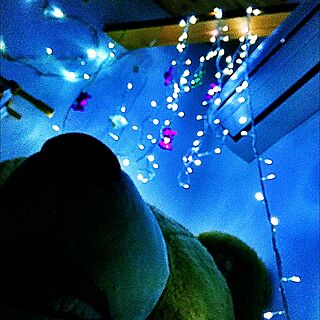 ベッド周り/コストコのクマ/照明のインテリア実例 - 2016-01-01 22:37:31