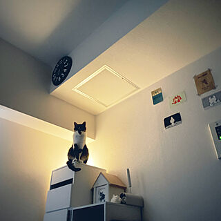 猫と暮らす。/6畳1K/狭い部屋/実寸5.7畳/棚のインテリア実例 - 2022-03-26 08:16:13