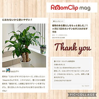 Roomclip mag 7/20掲載♡/観葉植物/植物のある暮らし/部屋全体/BotaNice...などのインテリア実例 - 2021-07-25 21:32:03