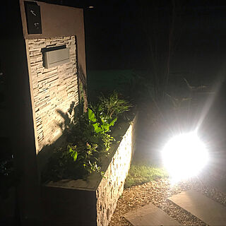 玄関ライトアップバージョン/記念に一枚/緑のある暮らし/ベッド周りのインテリア実例 - 2019-06-19 22:35:45