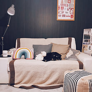 リビング/カシウェア/H&M HOME/犬と暮らす/IKEA...などのインテリア実例 - 2018-11-25 21:14:06