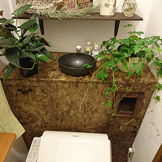 バス/トイレ/男前/観葉植物/DIY/初DIY...などのインテリア実例 - 2018-06-01 17:05:51