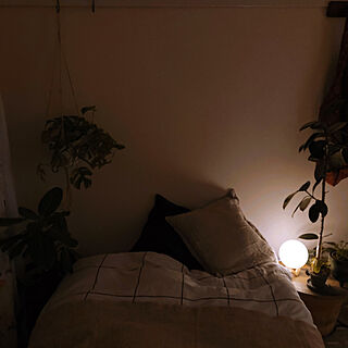 ベッドサイドランプ/寝室/ラグ・絨毯/観葉植物/植物のある部屋...などのインテリア実例 - 2021-01-23 20:31:18
