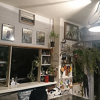 バス/トイレ/植物のある部屋/indoor green/GREENのある暮らし/マンション...などのインテリア実例 - 2018-12-28 17:57:32