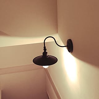 壁/天井/階段照明のインテリア実例 - 2017-06-18 20:10:49