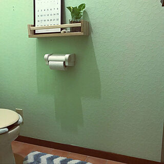 パステルグリーンの壁/観葉植物/トイレのインテリア/壁紙の上から塗れるペンキ/バス/トイレ...などのインテリア実例 - 2022-12-04 02:45:58