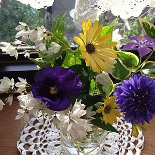 窓ぎわ/庭の花のインテリア実例 - 2013-04-29 17:05:52