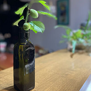 olive oilの瓶/梅の実/逢/春/植物のある暮らし...などのインテリア実例 - 2022-04-28 20:32:14