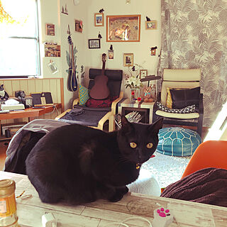 朝食中/食卓に乗る猫/黒猫ミースケ/ねこのいる風景/机のインテリア実例 - 2021-03-31 07:59:56