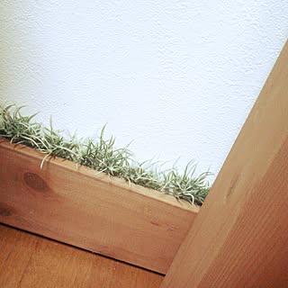壁 天井 配線隠しのおしゃれなアレンジ 飾り方のインテリア実例 Roomclip ルームクリップ