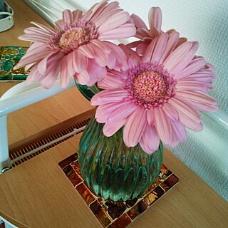 棚/ガーベラ♡/ABCクラフト/お花に癒されます♡/ピンク♪ ...などのインテリア実例 - 2014-05-11 14:33:18