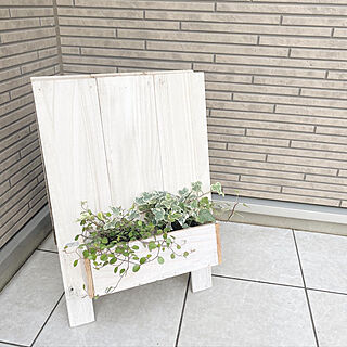玄関前/看板 DIY/DIY女子/DIY/観葉植物...などのインテリア実例 - 2022-03-01 10:31:46