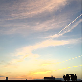 スマホで撮影/写真がうまく撮れるようになりたい♡/負けないぞ！/RCの出会いに感謝♡/西の空...などのインテリア実例 - 2020-04-21 19:58:46