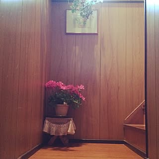 壁/天井/植物のインテリア実例 - 2015-06-10 19:34:14