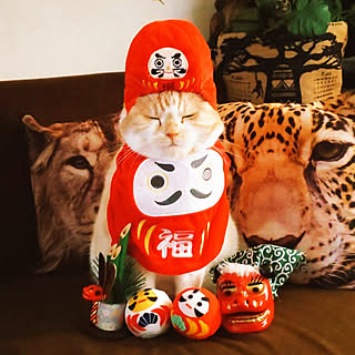 バス/トイレ/ねこのいる日常/ねこと暮らす。/お正月/今年もよろしくお願いします...などのインテリア実例 - 2021-01-01 08:03:30