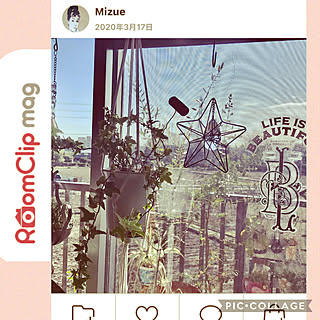 記録用なのでコメントお気遣いなく♡/嬉しいお知らせ/RoomClip mag 掲載/NO GREEN NO LIFE/アイビー...などのインテリア実例 - 2021-01-03 09:01:13