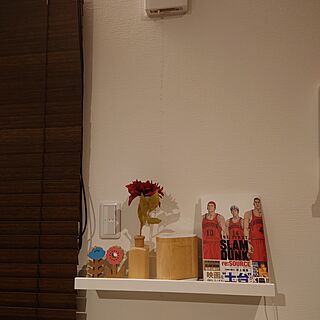 壁/天井/ディスプレイコーナー/飾り棚/収納/IKEA...などのインテリア実例 - 2023-06-10 18:01:57