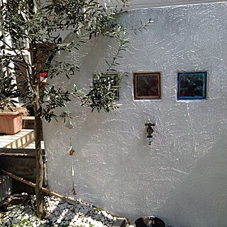 玄関/入り口/ガーデン*/オリーブの木のインテリア実例 - 2014-03-28 16:02:06