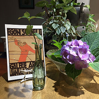 植物のある暮らし/観葉植物/ガラス/アートのある部屋/紫陽花...などのインテリア実例 - 2020-07-03 20:23:22