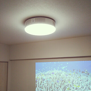 壁/天井/RoomClipアンケート/照明/プロジェクター/ホームシアターのインテリア実例 - 2022-04-22 19:18:00
