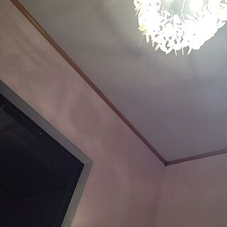 壁/天井/DIY/照明のインテリア実例 - 2012-12-26 18:35:04
