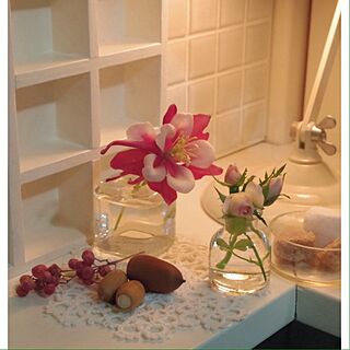 キッチン/おはようございます♡/植物/セリア/DIY棚...などのインテリア実例 - 2013-10-15 08:13:52