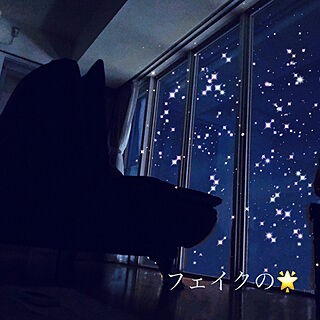 黒いソファ/フェイクの星/星空/夜空/癒しの空間...などのインテリア実例 - 2019-07-20 20:50:08