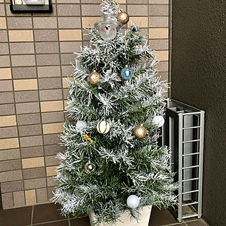 玄関/入り口/クリスマス/クリスマスツリーのインテリア実例 - 2021-12-12 21:41:42