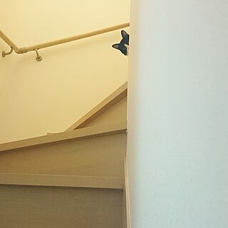 壁/天井/猫/ねこと暮らす。/階段/ネコのインテリア実例 - 2017-05-05 14:13:37