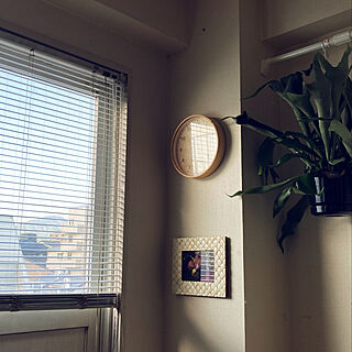 コウモリラン/ブラインド/植木鉢/白い壁/四階からの景色...などのインテリア実例 - 2020-05-11 17:22:09