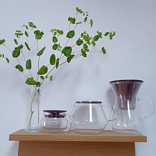 棚/グリーンのある暮らし/植物のある暮らし/無印良品 壁に付けられる家具/賃貸...などのインテリア実例 - 2022-03-15 13:30:28