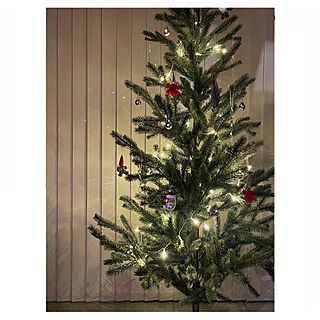12月/IKEA/冬/クリスマスツリー/土間リビング...などのインテリア実例 - 2021-12-01 20:06:33