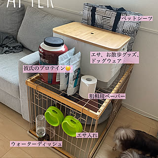 IKEA/愛犬チワワ♡/ゲージまわり/ペットゲージ/ペット用品...などのインテリア実例 - 2020-05-02 11:46:16