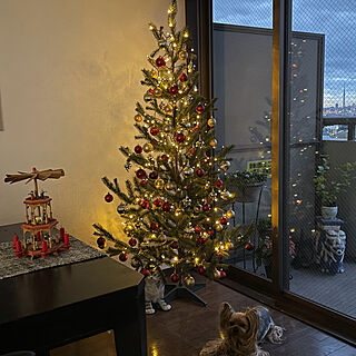 リビング/クリスマスディスプレイ/クリスマスツリー/クリスマス/IKEA...などのインテリア実例 - 2023-12-01 09:07:16