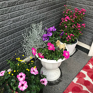 ガーデン雑貨/お花のある生活❁/フラワーベース/見てくださってありがとう❁︎/いぬの置物...などのインテリア実例 - 2021-05-13 19:19:00